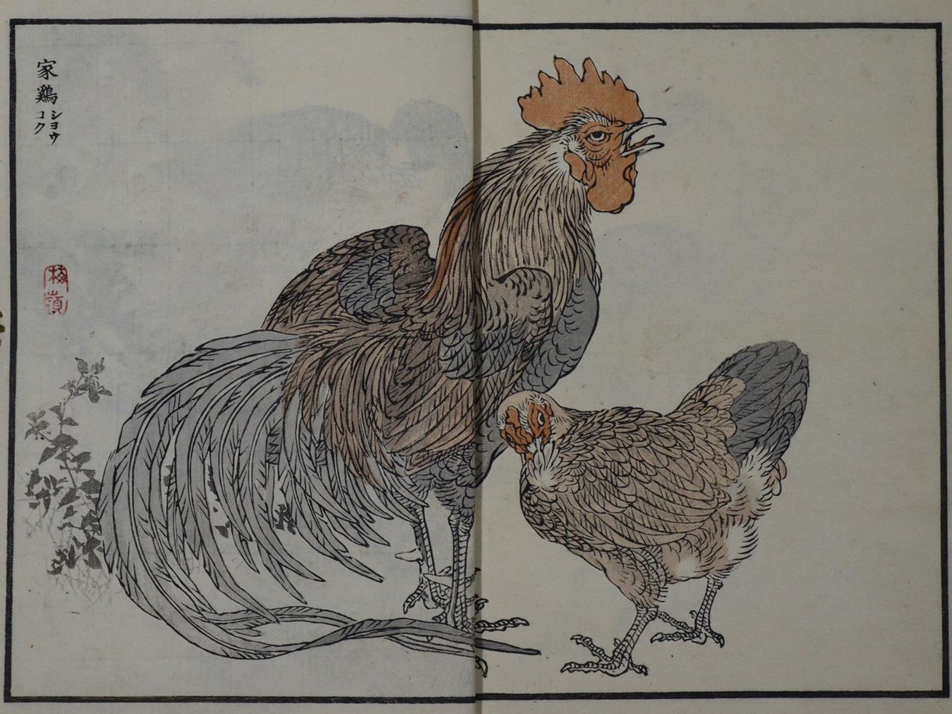 Große Abbildung Nr.1: 127-1526 Bairei,K.: (Zoologie, Vögel)
