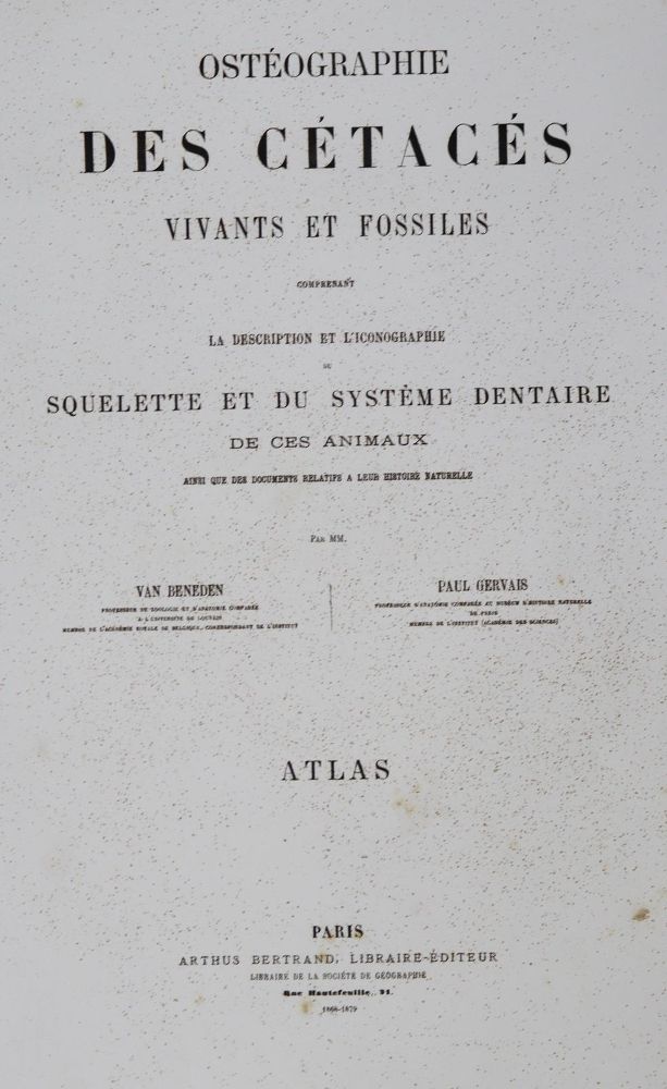 Große Abbildung Nr.3: 127-1529 Beneden,P.J. van u. R.Gervais.: (Zoologie, Wale)