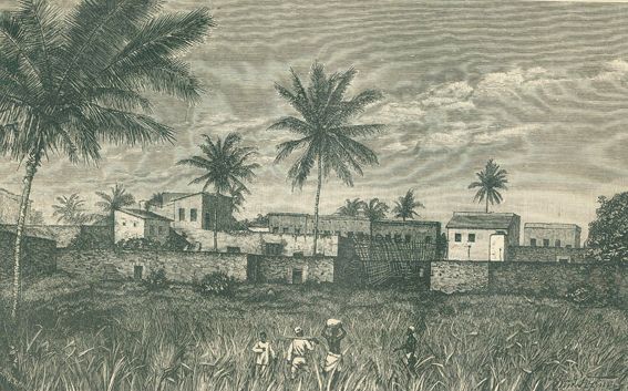 Große Abbildung Nr.3: 127-1587 Peters,C.: (Afrika)