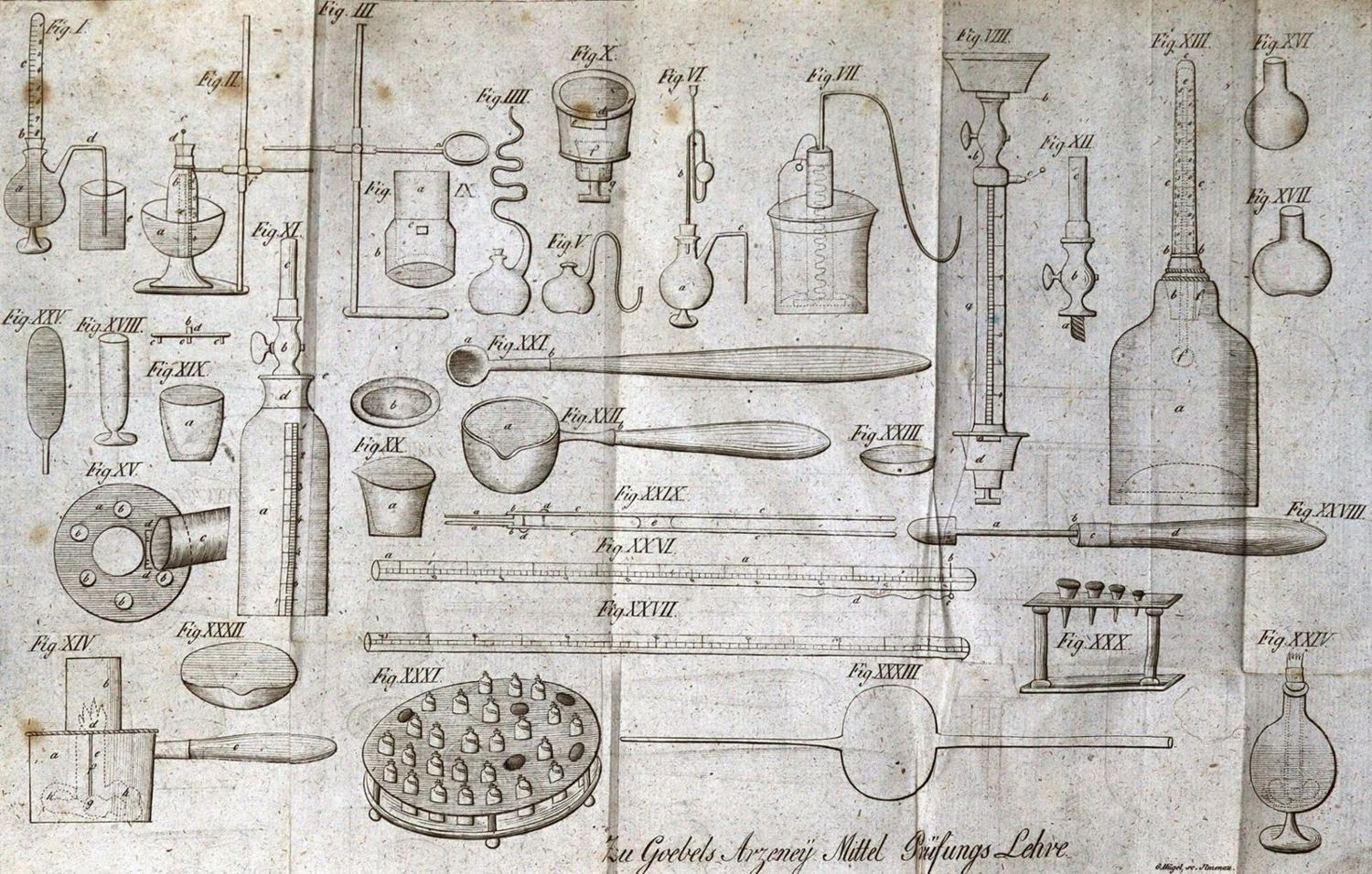 Große Abbildung Nr.2: 127-161 Göbel,F.: (Aus der Sammlung Professor Dr.Dr.Johannes Büttner Teil 1)