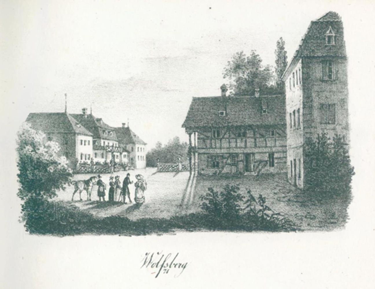 Große Abbildung Nr.2: 127-1640 (Pecht,J.A.).: (Deutschland, Bodensee)
