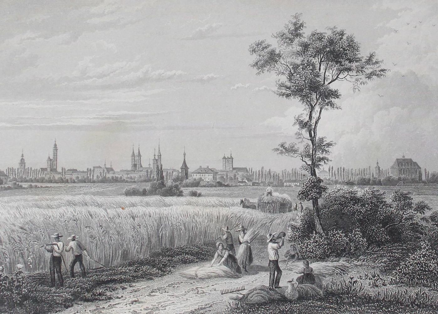 Große Abbildung Nr.1: 127-1644 Heinemann,O.v.: (Deutschland, Braunschweig)