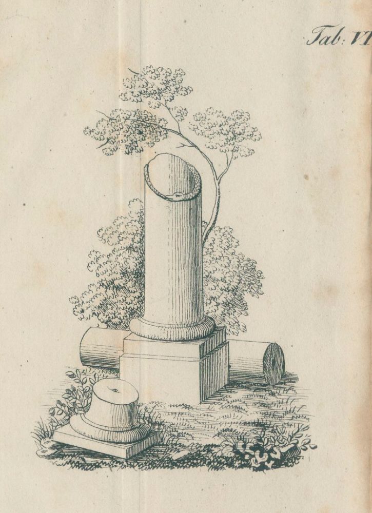 Große Abbildung Nr.2: 127-1649 Liebesleben,J. (Hrsg.).: (Deutschland, Düsseldorf)