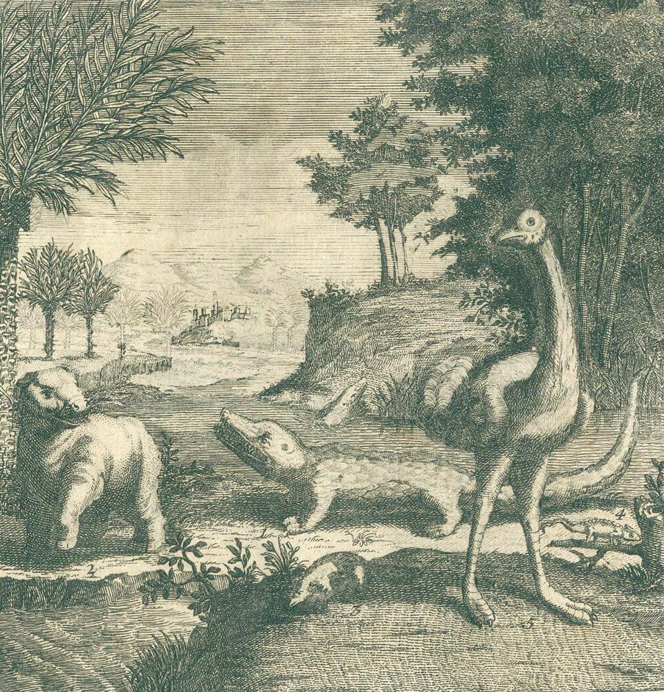 Große Abbildung Nr.2: 127-1813 Salmon,T. & M.van Goch.: (Verschiedene Länder - Geschichte, Türkei)