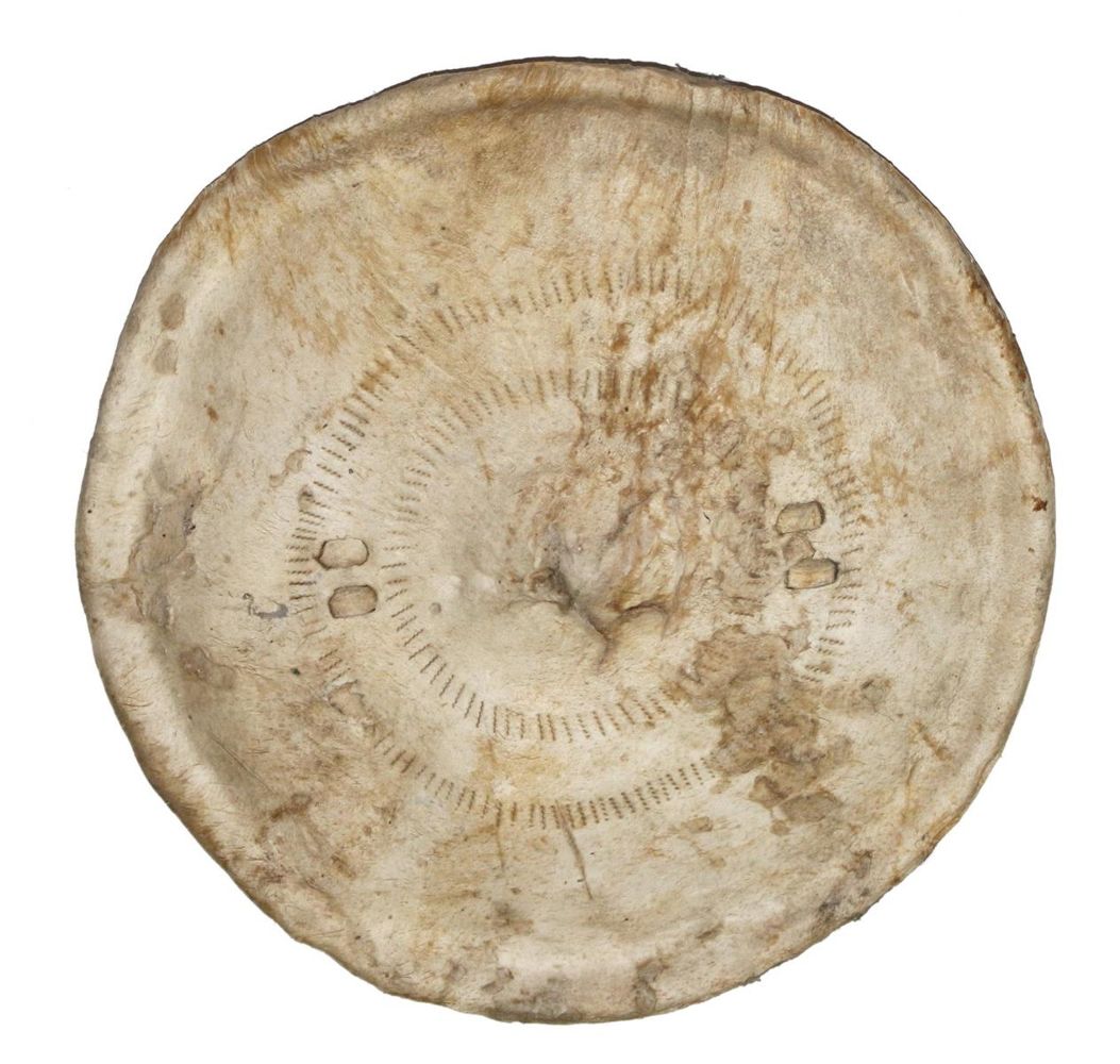 Große Abbildung Nr.1: 127-1975 Kampfschild der Borana.: (Afrika, Sammlung Wolfgang Nerlich, Schilde)