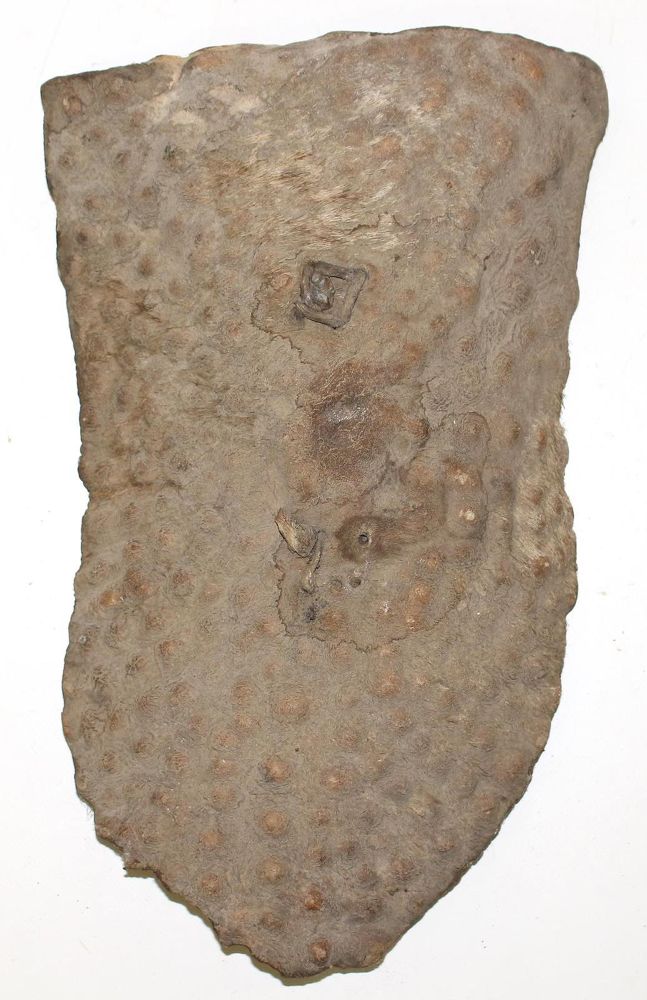 Große Abbildung Nr.1: 127-1981 Schild der Boghom.: (Afrika, Sammlung Wolfgang Nerlich, Schilde)