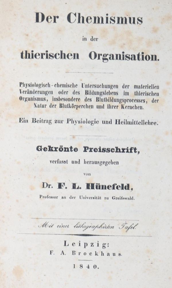 Große Abbildung Nr.1: 127-208 Hünefeld,F.L.: (Aus der Sammlung Professor Dr.Dr.Johannes Büttner Teil 1)