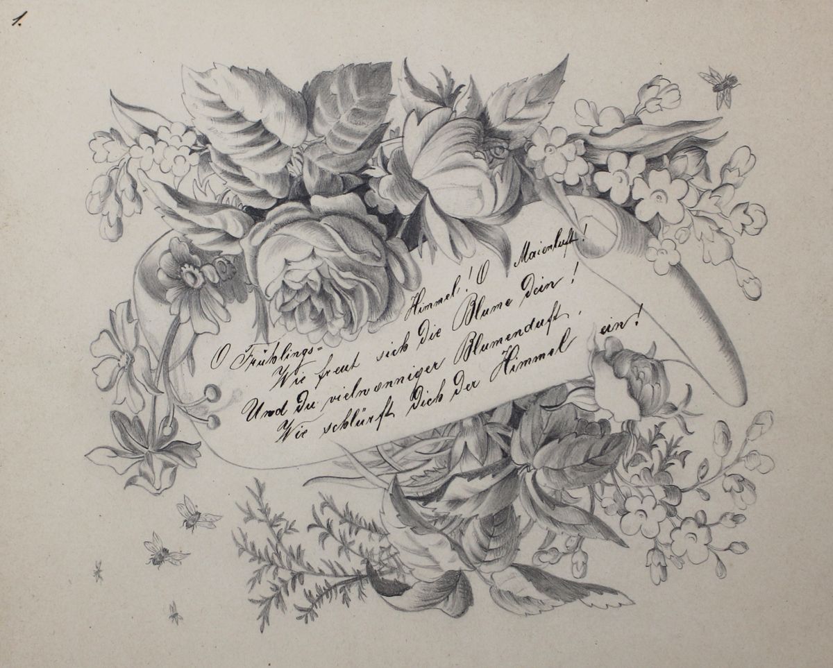 Große Abbildung Nr.1: 127-2359 Blumen.: (Varia, Botanik)