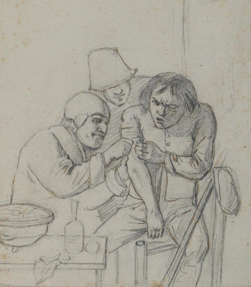 Große Abbildung Nr.11: 127-2366 Pflanzen.: (Varia, Botanik)