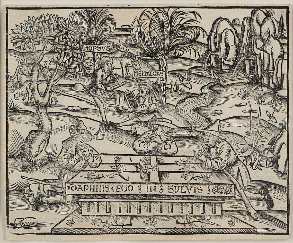 Große Abbildung Nr.1: 127-2373 Brant, Sebastian: (Varia, Buchholzschnitte)