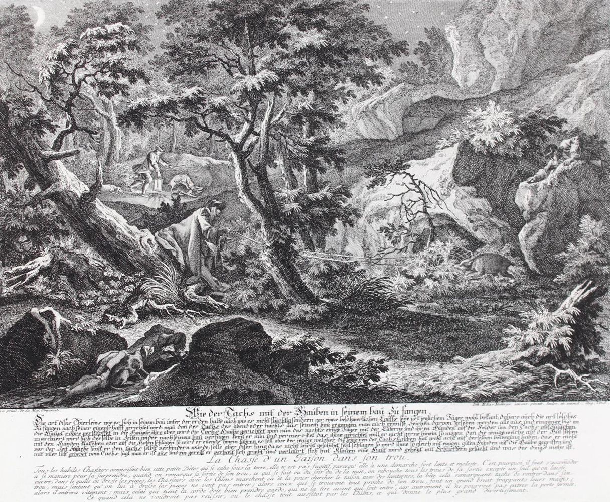 Große Abbildung Nr.1: 127-2397 Dachsjagd.: (Varia, Jagd, Ridinger)