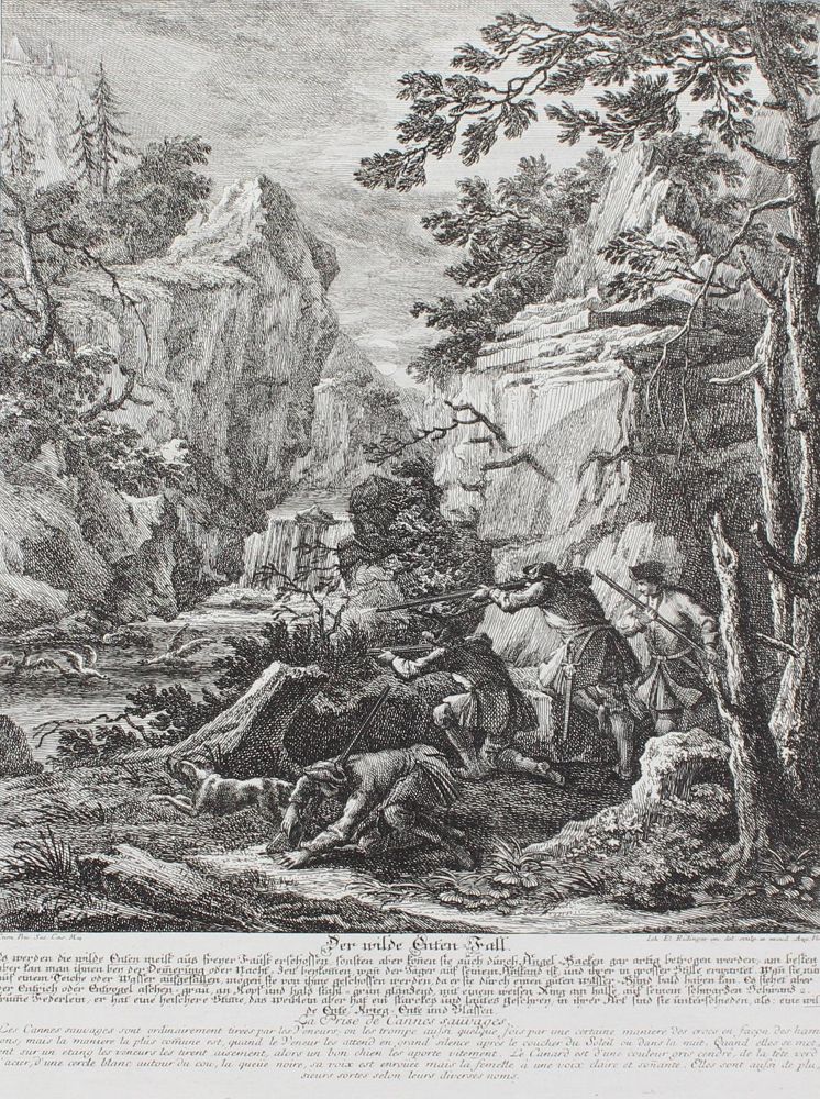 Große Abbildung Nr.1: 127-2398 Entenjagd.: (Varia, Jagd, Ridinger)