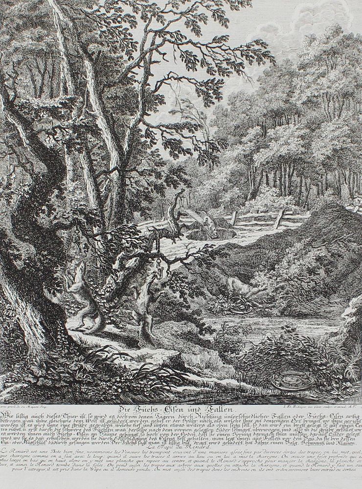 Große Abbildung Nr.1: 127-2400 Fuchsjagd.: (Varia, Jagd, Ridinger)