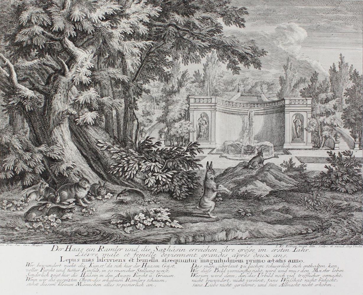 Große Abbildung Nr.1: 127-2405 Hasen.: (Varia, Jagd, Ridinger)