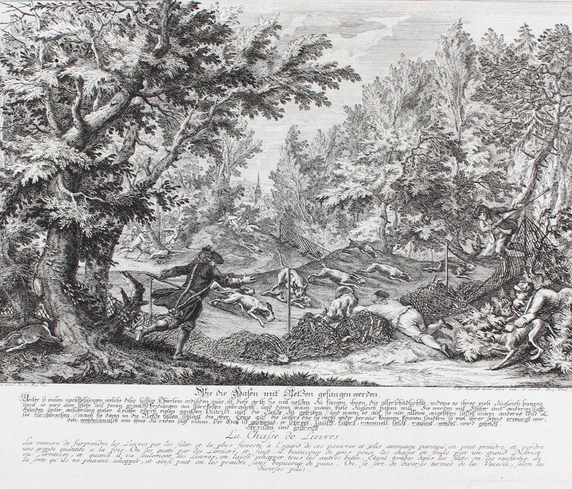 Große Abbildung Nr.1: 127-2408 Hasenjagd.: (Varia, Jagd, Ridinger)