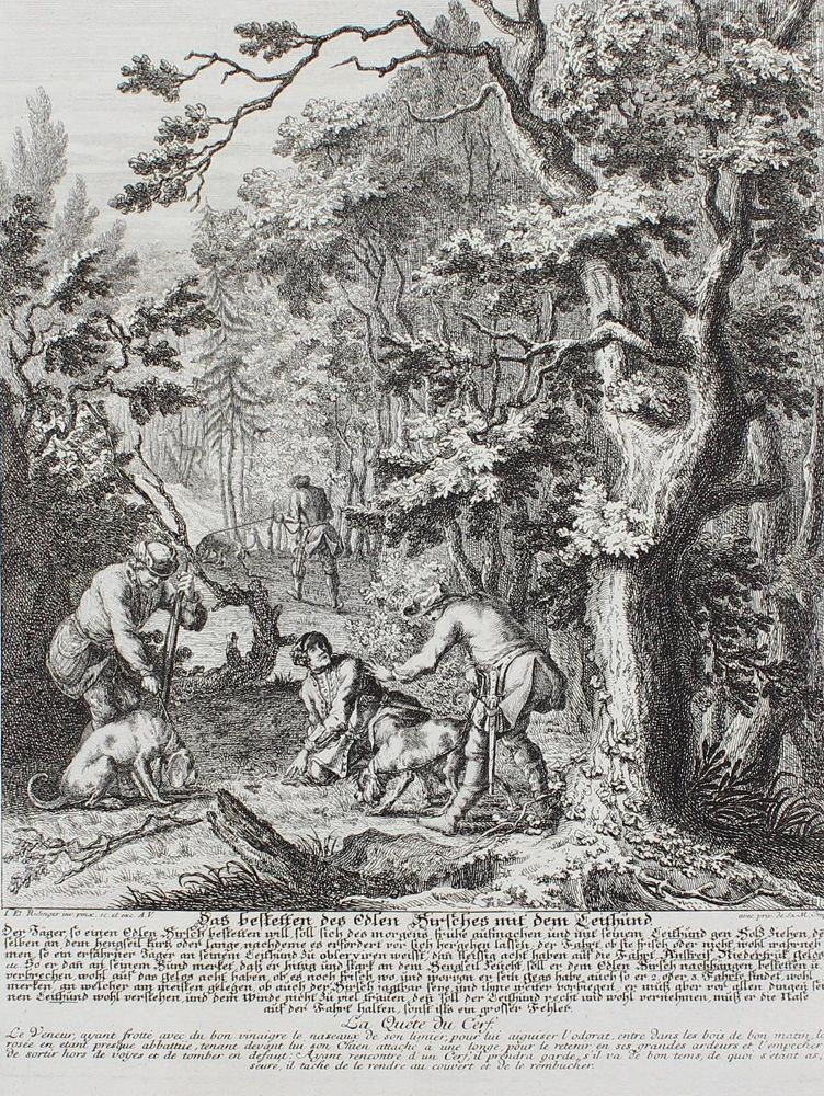 Große Abbildung Nr.1: 127-2409 Hirsch.: (Varia, Jagd, Ridinger)