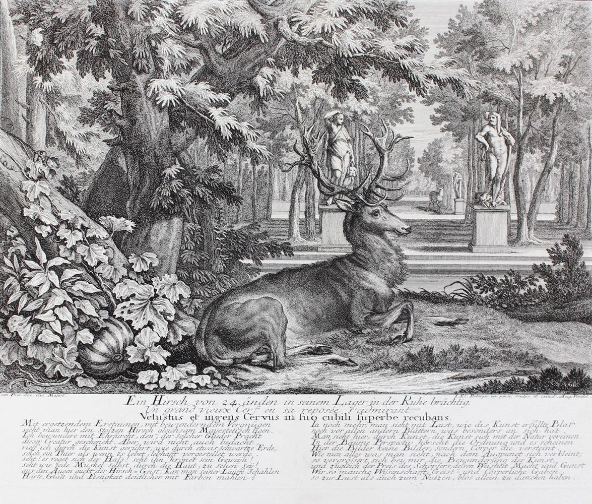 Große Abbildung Nr.1: 127-2416 Hirsch.: (Varia, Jagd, Ridinger)
