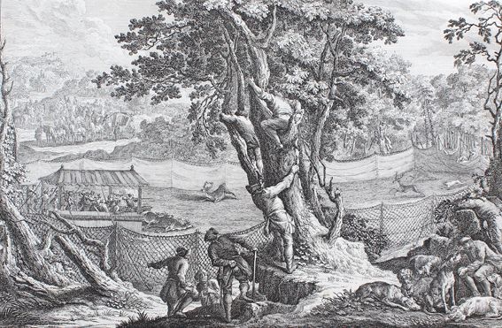 Große Abbildung Nr.1: 127-2425 Hirschjagd.: (Varia, Jagd, Ridinger)
