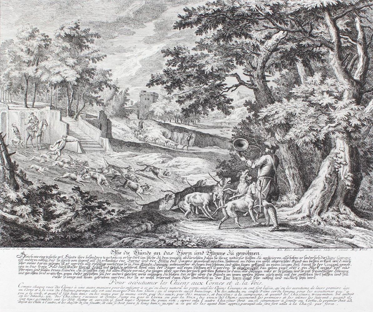 Große Abbildung Nr.1: 127-2427 Hunde.: (Varia, Jagd, Ridinger)