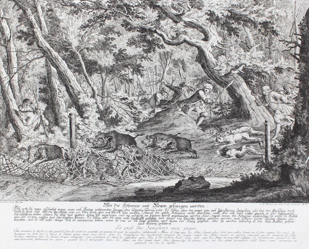 Große Abbildung Nr.1: 127-2445 Schweinejagd.: (Varia, Jagd, Ridinger)