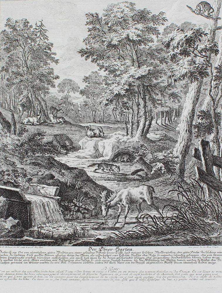 Große Abbildung Nr.1: 127-2451 Waldtiere.: (Varia, Jagd, Ridinger)