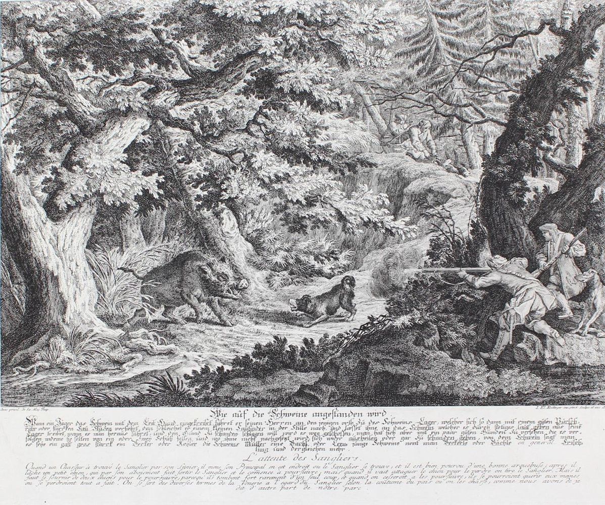 Große Abbildung Nr.1: 127-2455 Wildschwein.: (Varia, Jagd, Ridinger)