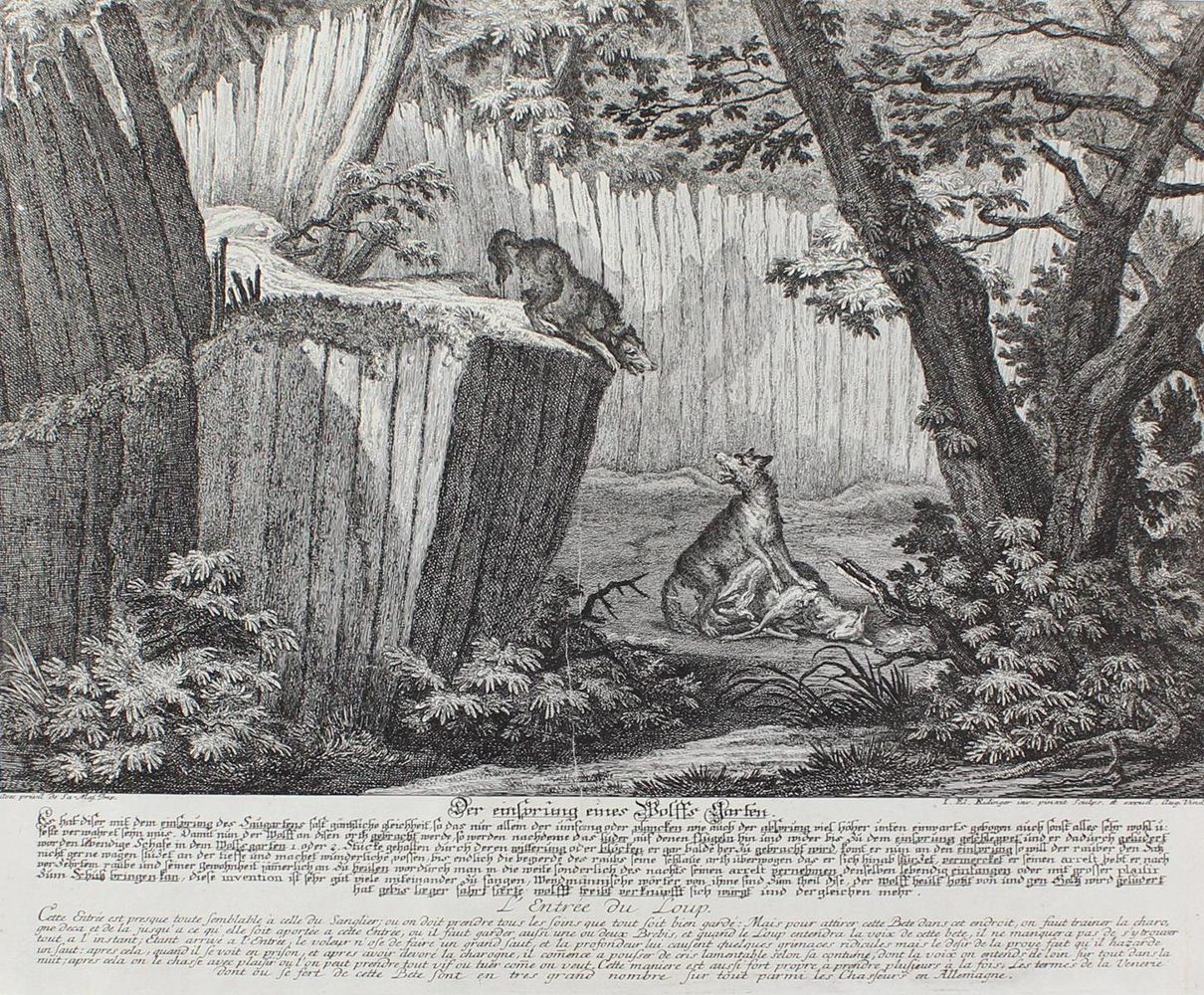 Große Abbildung Nr.1: 127-2462 Wölfe.: (Varia, Jagd, Ridinger)