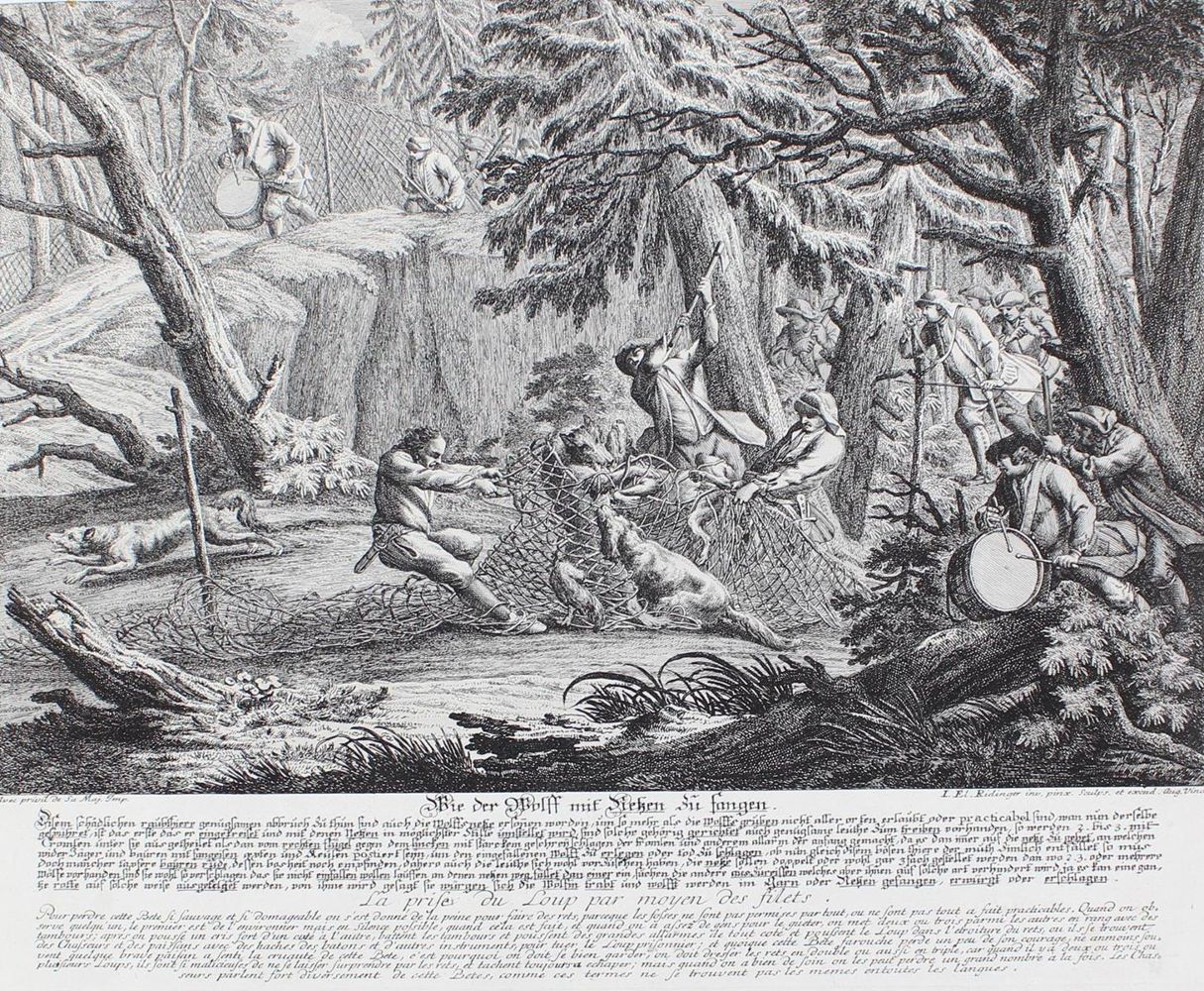 Große Abbildung Nr.1: 127-2467 Wolfsjagd.: (Varia, Jagd, Ridinger)