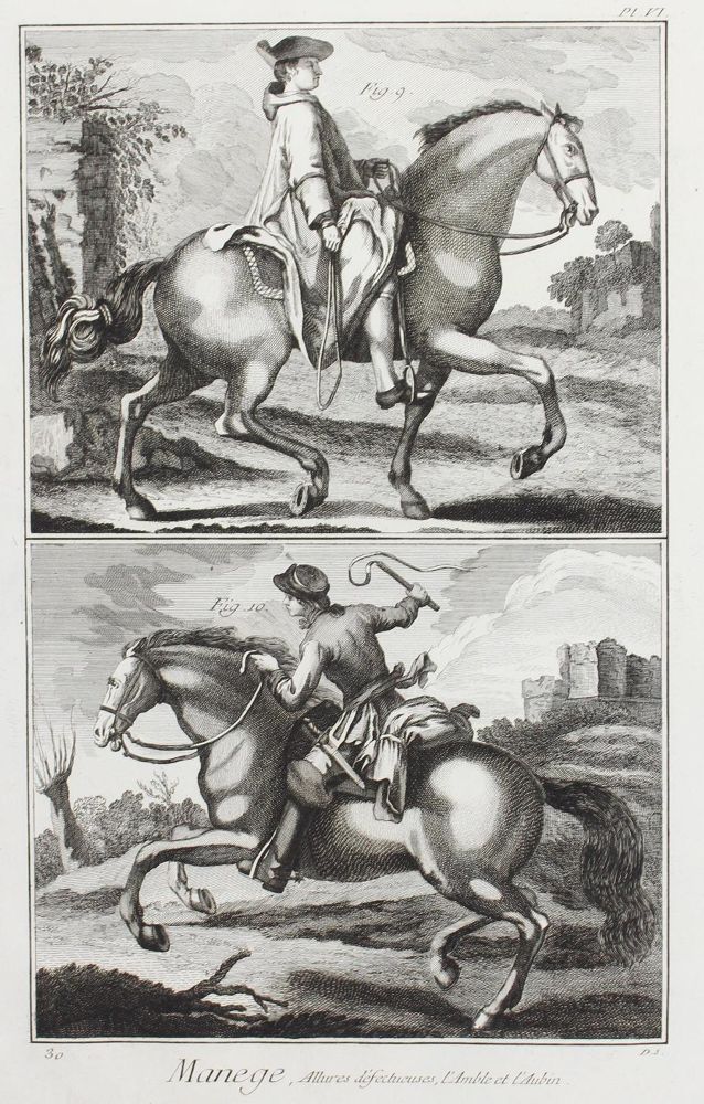 Große Abbildung Nr.1: 127-2516 Diepenbeeck: (Varia, Pferde, Reitschule)