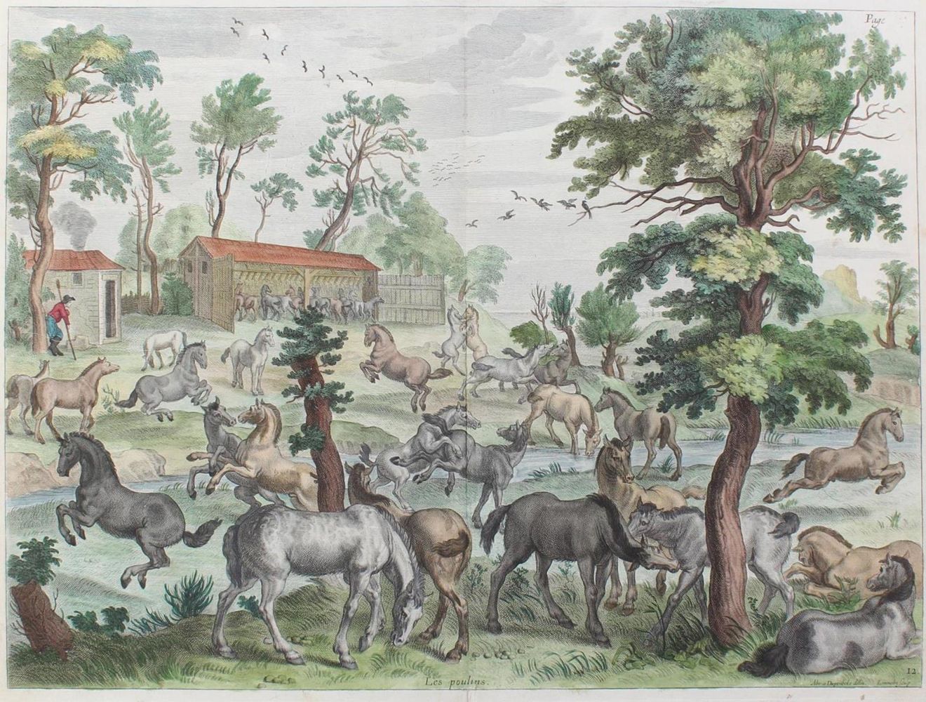Große Abbildung Nr.2: 127-2516 Diepenbeeck: (Varia, Pferde, Reitschule)