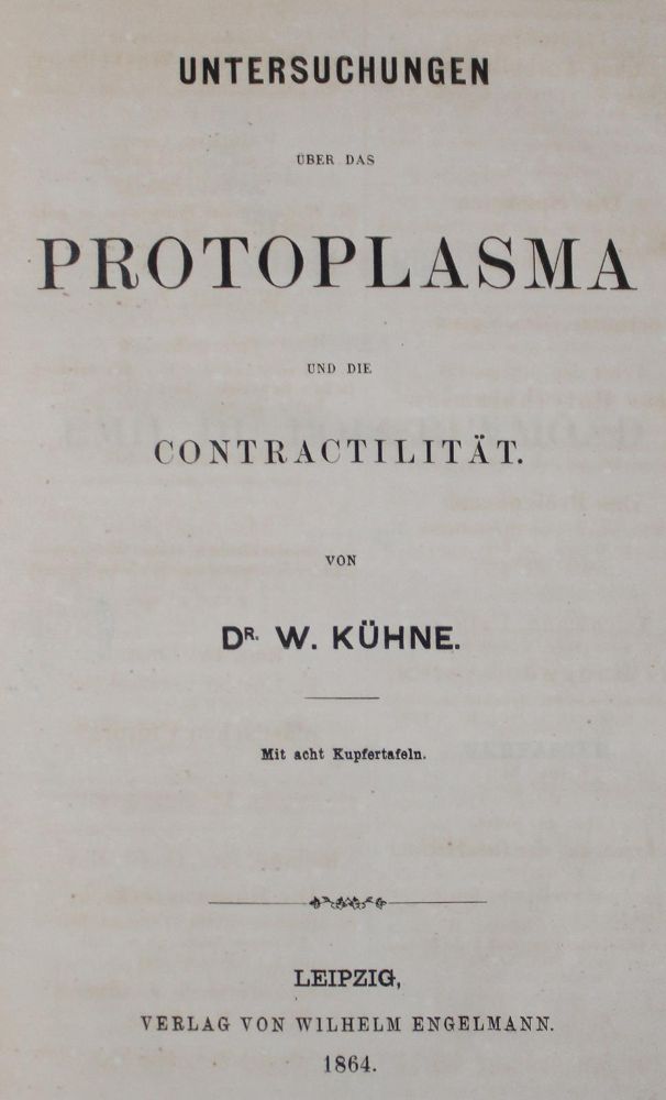 Große Abbildung Nr.1: 127-255 Kühne,W.: (Aus der Sammlung Professor Dr.Dr.Johannes Büttner Teil 1)