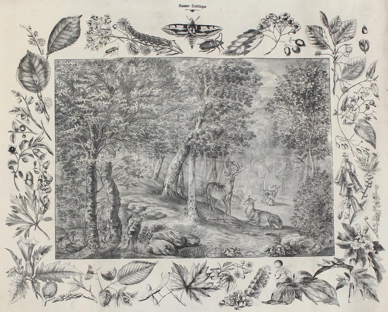 Große Abbildung Nr.1: 127-2574 Anschauungsbilder.: (Varia, Zoologie)