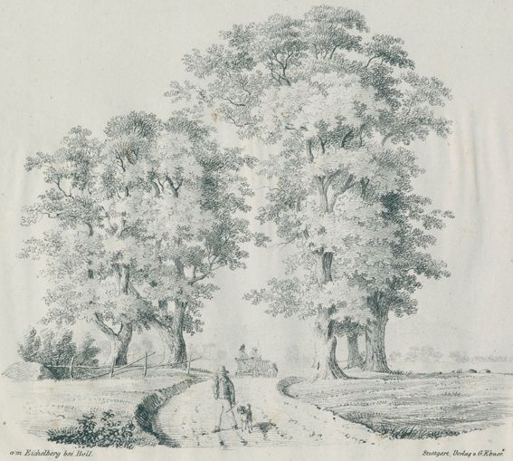 Große Abbildung Nr.1: 127-2613 Boll.: (Deutschland, Boll/Göppingen)