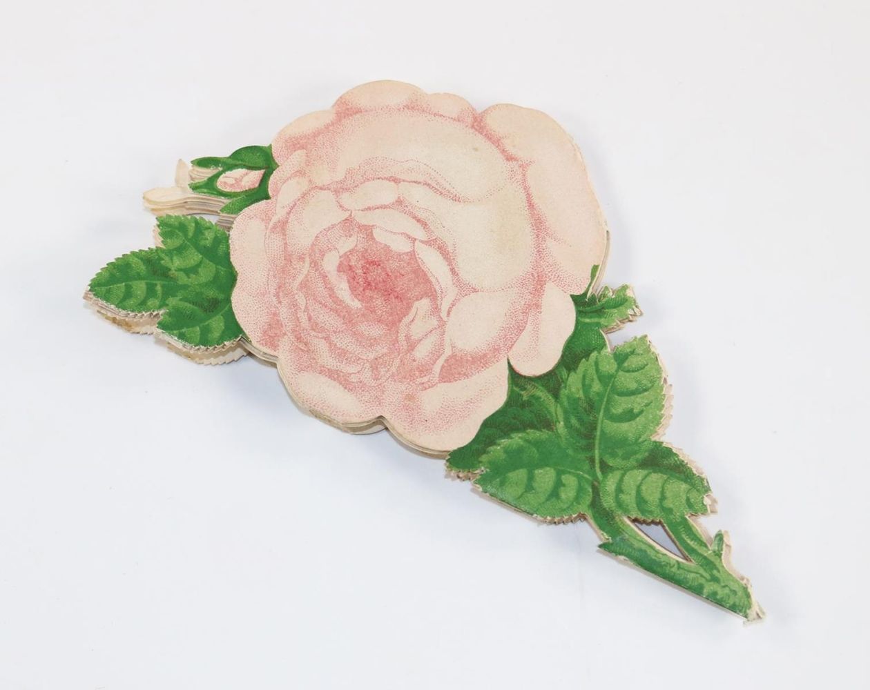 Große Abbildung Nr.2: 127-2818 Rhein Rose.: (Deutschland, Rheinlande)