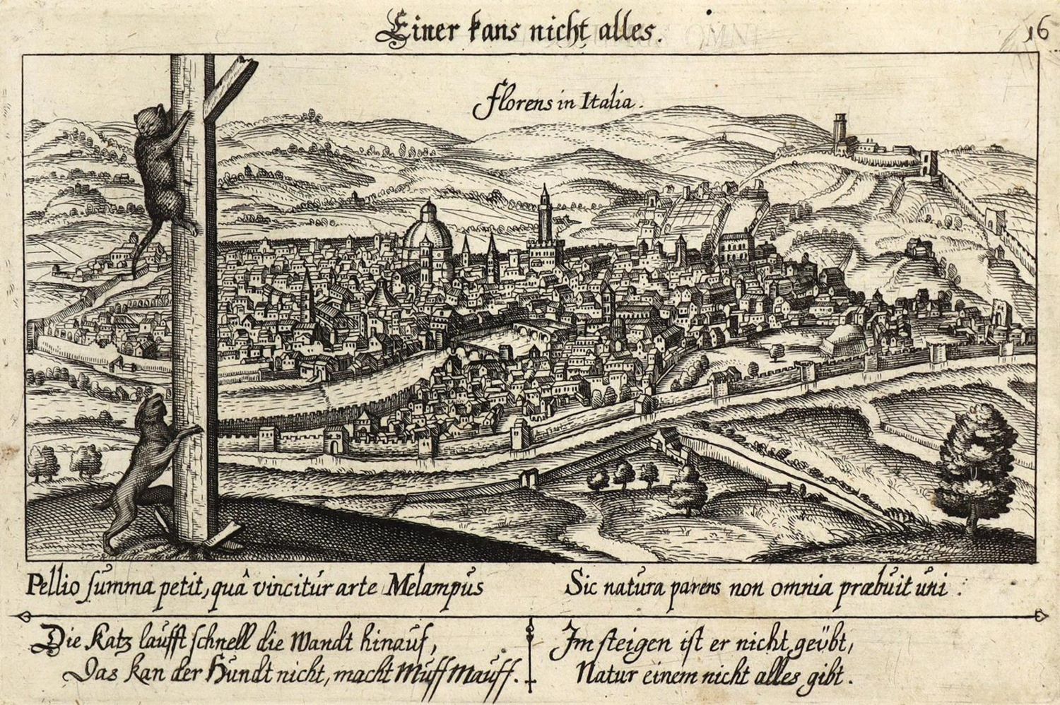 Große Abbildung Nr.1: 127-3015 Florenz.: (Ausland, Italien)