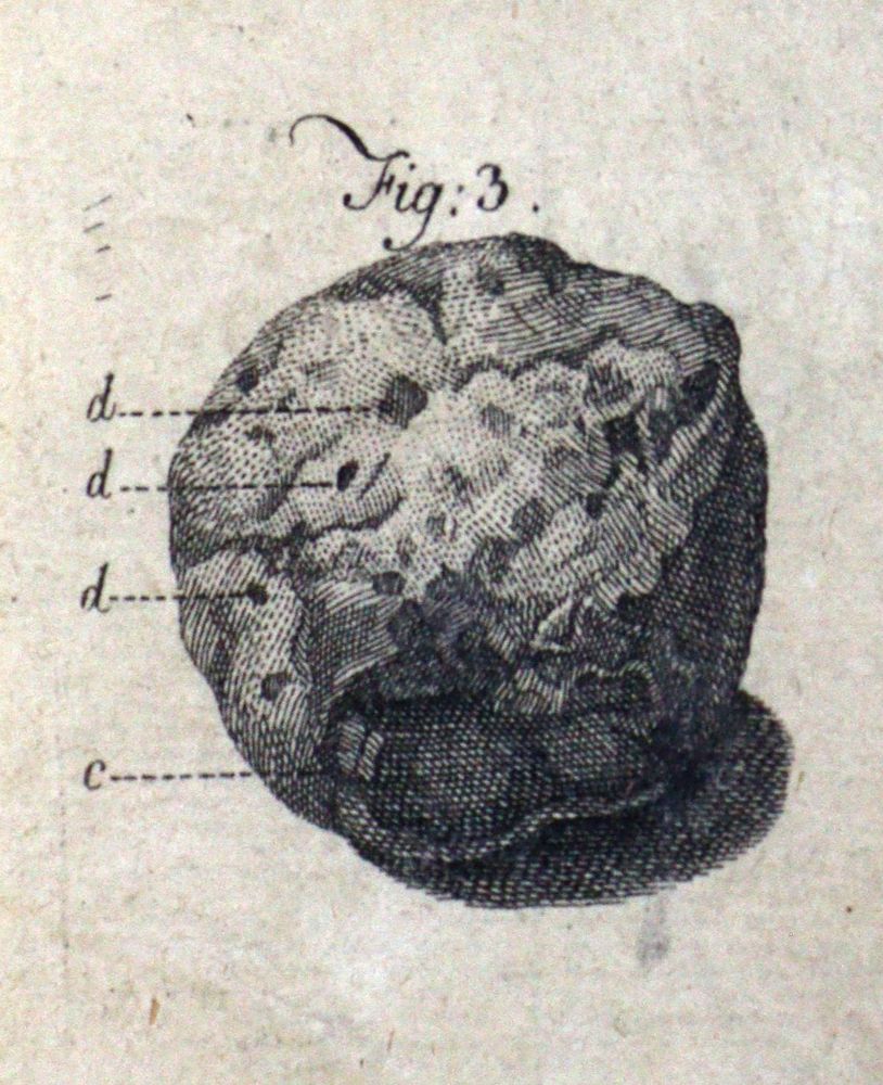 Große Abbildung Nr.2: 127-313 Marcard,H.M.: (Aus der Sammlung Professor Dr.Dr.Johannes Büttner Teil 1)