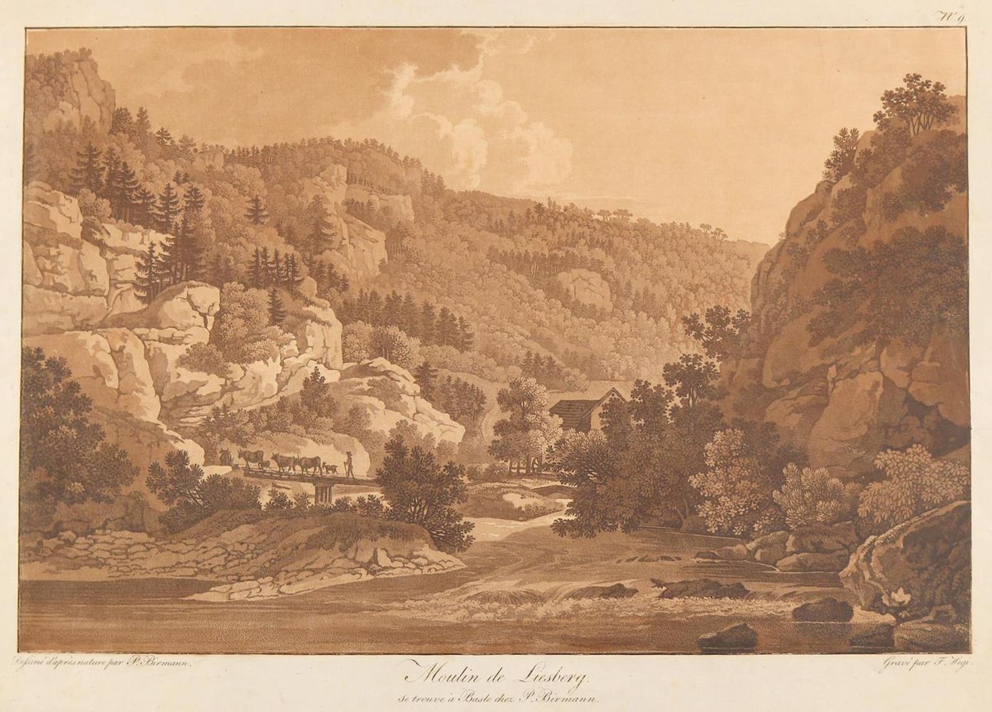 Große Abbildung Nr.1: 127-3133 Liesberg: (Ausland, Schweiz)