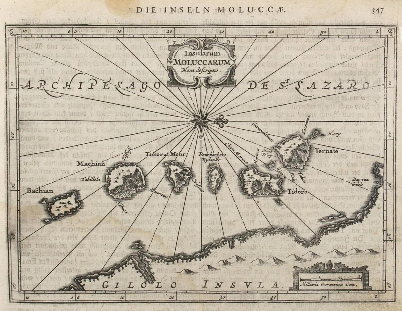 Große Abbildung Nr.3: 127-3150 Terra Sante (...) Palestina. -: (Ausland)