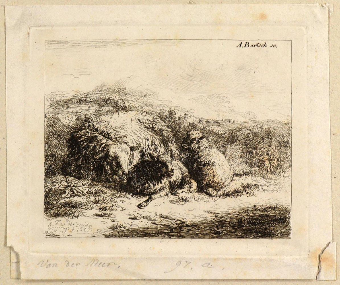 Große Abbildung Nr.3: 127-3236 Bartsch, Adam von: (Künstlergraphik)