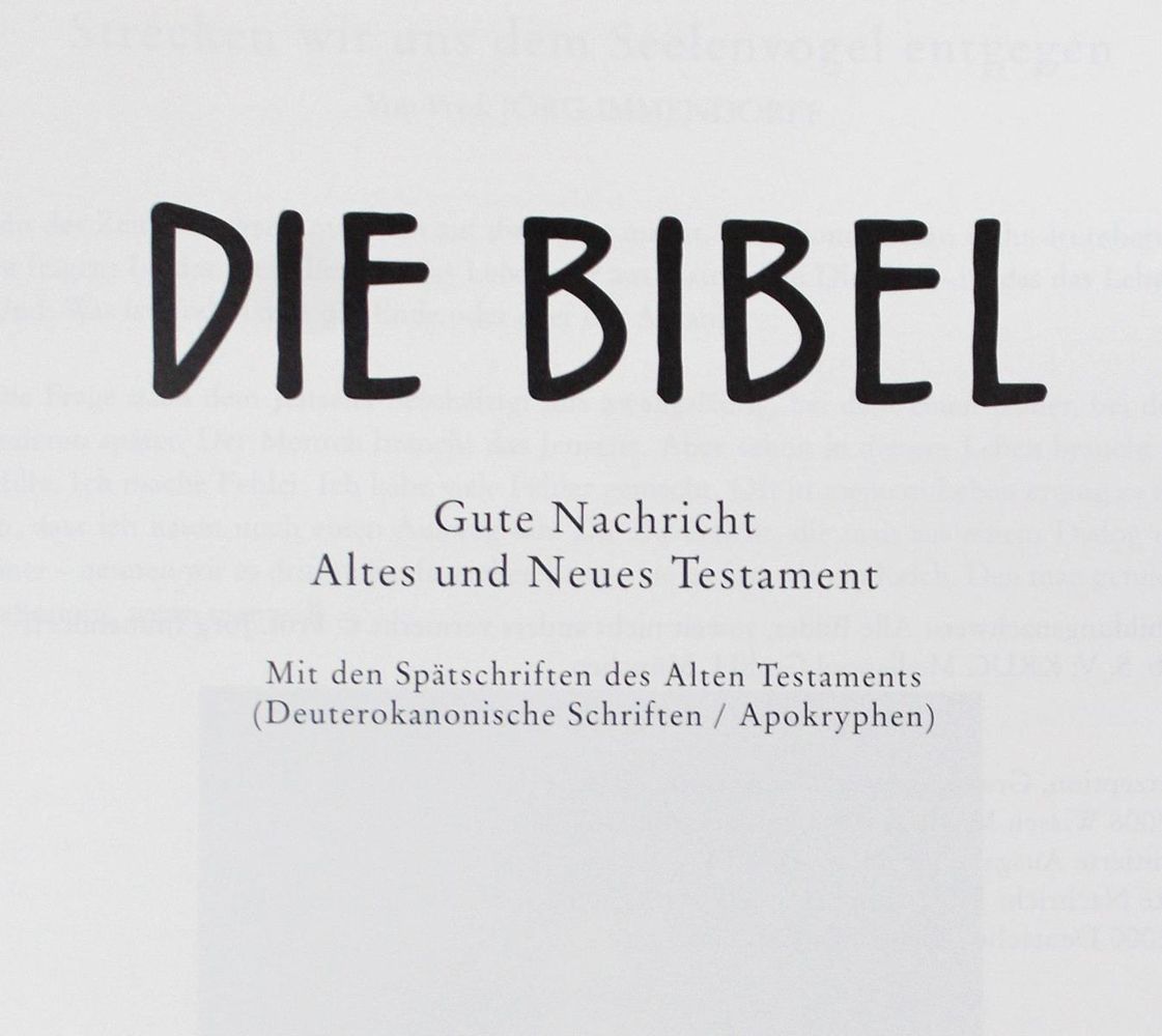 Große Abbildung Nr.8: 127-3584 Immendorff, Jörg: (Künstlergraphik)