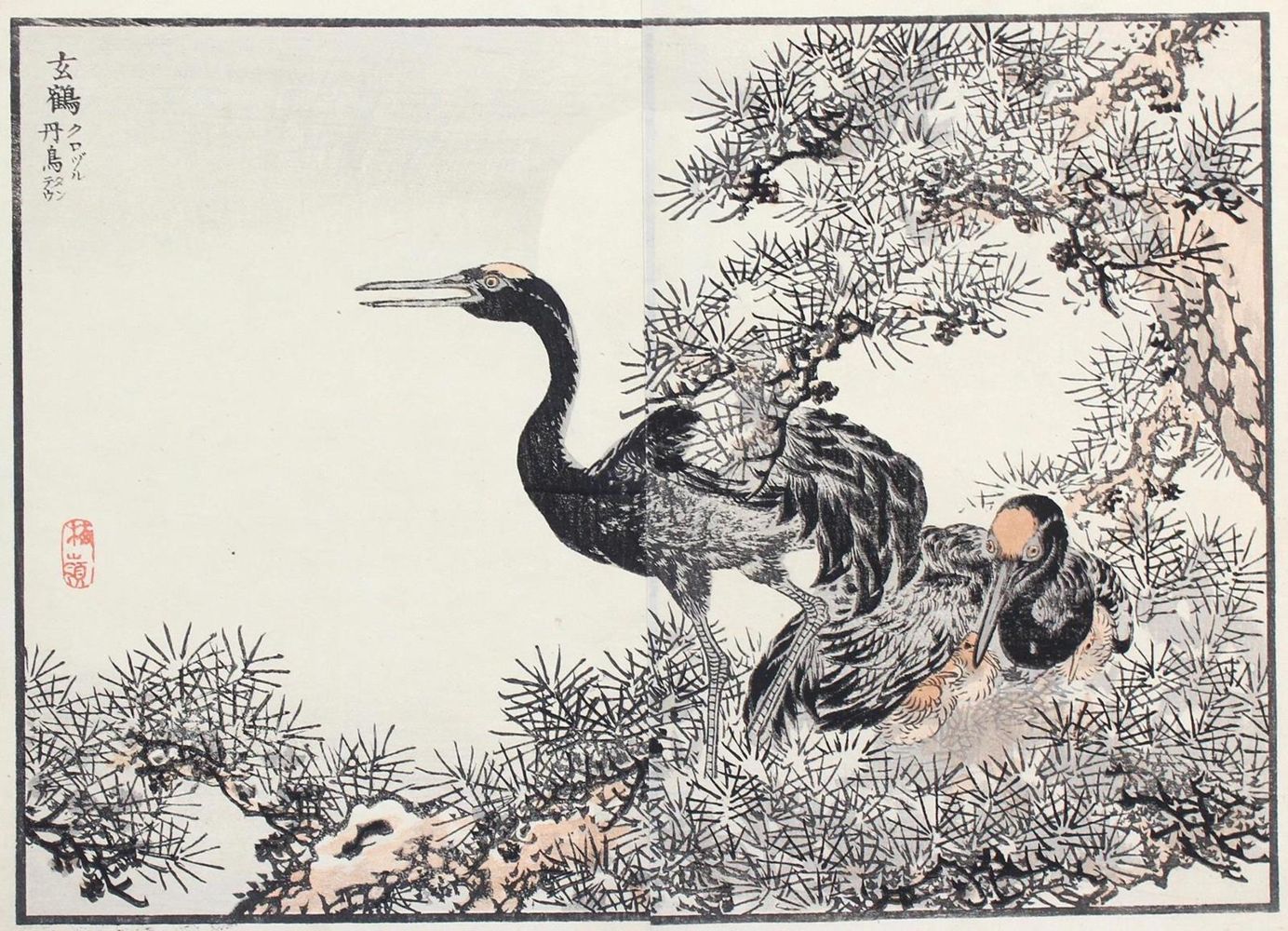 Große Abbildung Nr.1: 127-3596 Bairei, Kono Naotoyo: (Künstlergraphik, Japan)