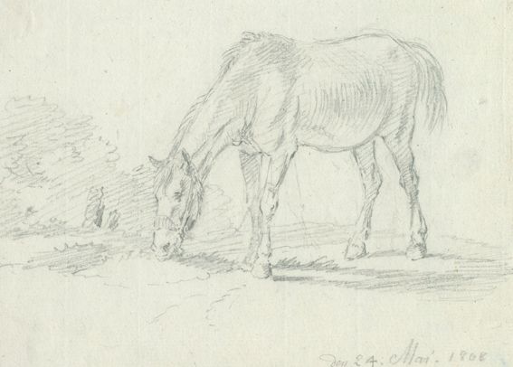 Große Abbildung Nr.1: 127-3660 Klein, Johann Adam: (Künstlergraphik)