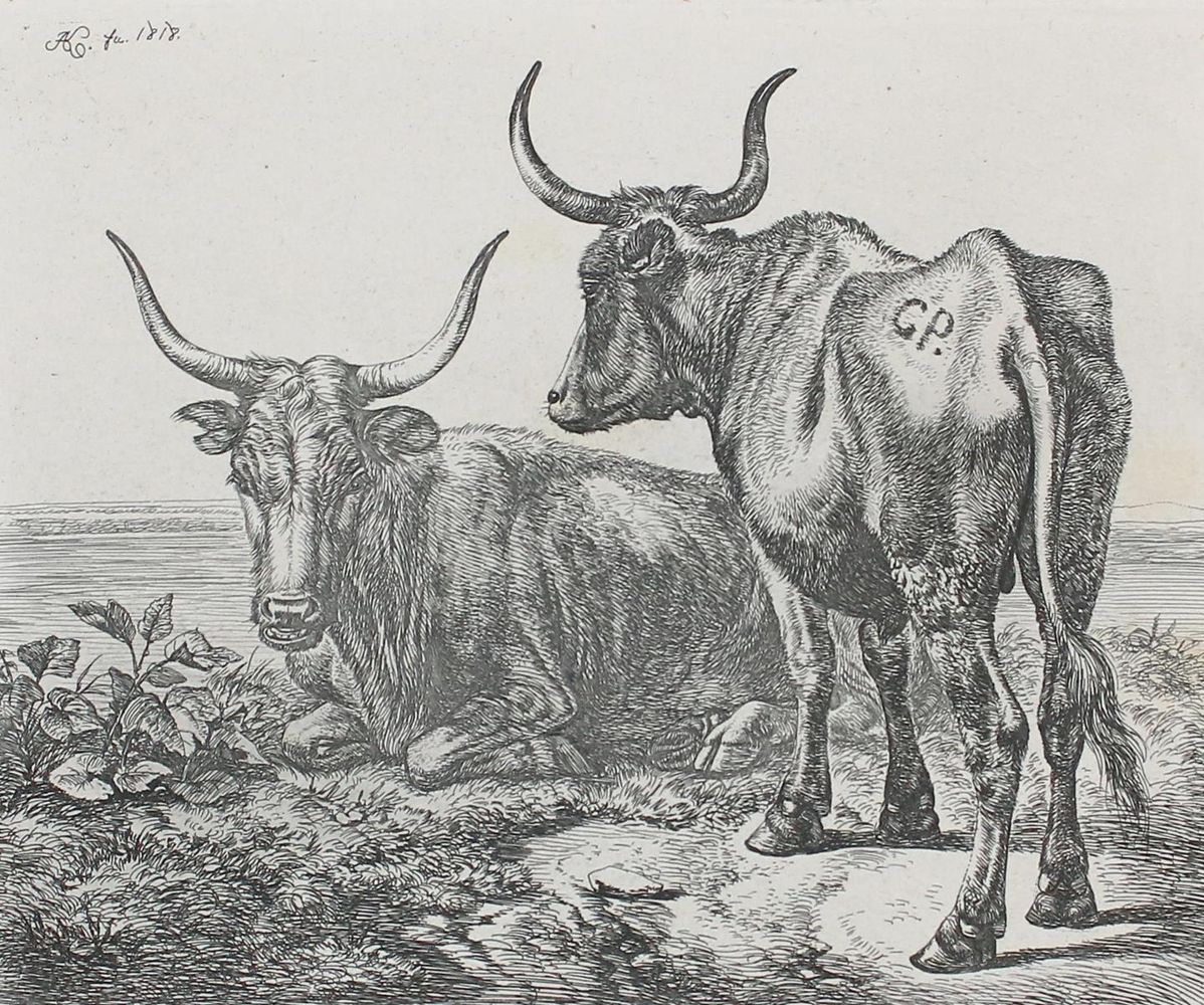 Große Abbildung Nr.1: 127-3667 Klein, Johann Adam: (Künstlergraphik)
