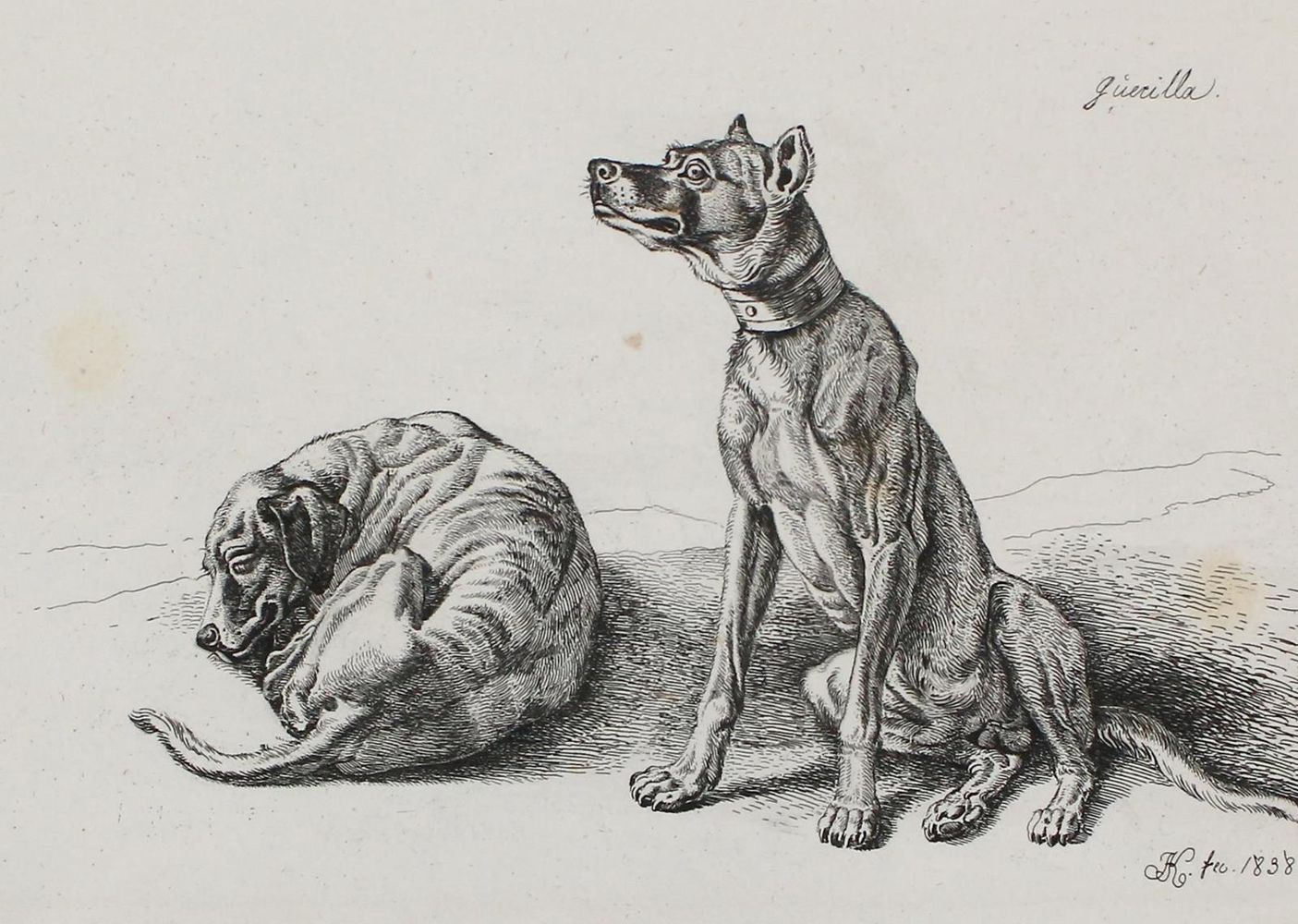 Große Abbildung Nr.1: 127-3674 Klein, Johann Adam: (Künstlergraphik)