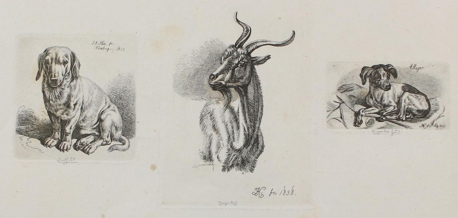 Große Abbildung Nr.2: 127-3674 Klein, Johann Adam: (Künstlergraphik)