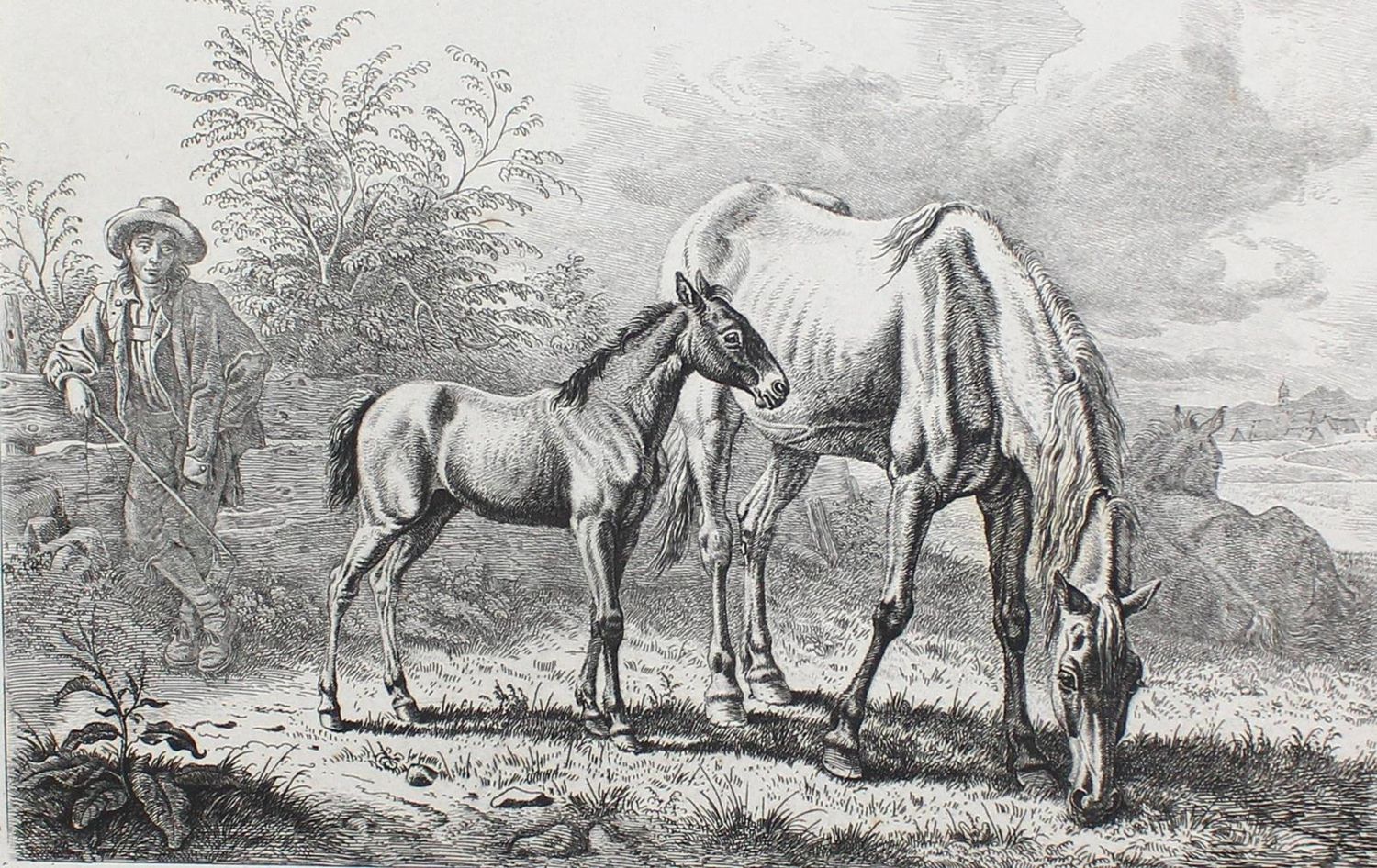 Große Abbildung Nr.1: 127-3689 Klein, Johann Adam: (Künstlergraphik)