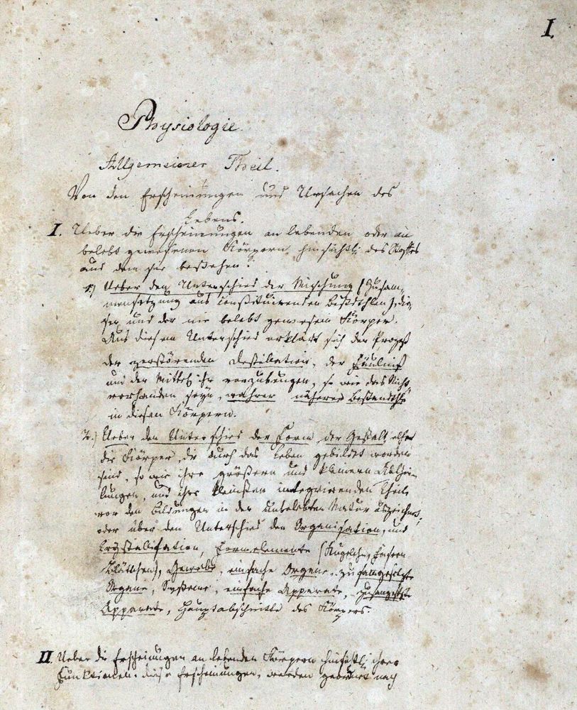 Große Abbildung Nr.1: 127-371 Physiologie des Menschen: (Aus der Sammlung Professor Dr.Dr.Johannes Büttner Teil 1)