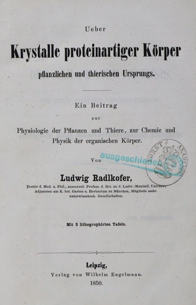 Große Abbildung Nr.2: 127-382 Radlkofer,L.: (Aus der Sammlung Professor Dr.Dr.Johannes Büttner Teil 1)