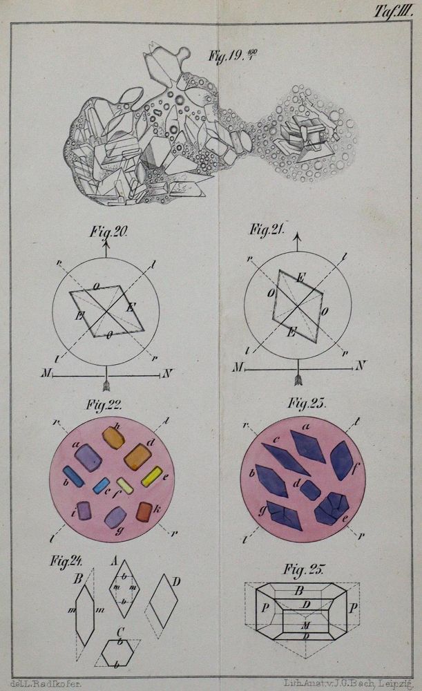 Große Abbildung Nr.4: 127-382 Radlkofer,L.: (Aus der Sammlung Professor Dr.Dr.Johannes Büttner Teil 1)