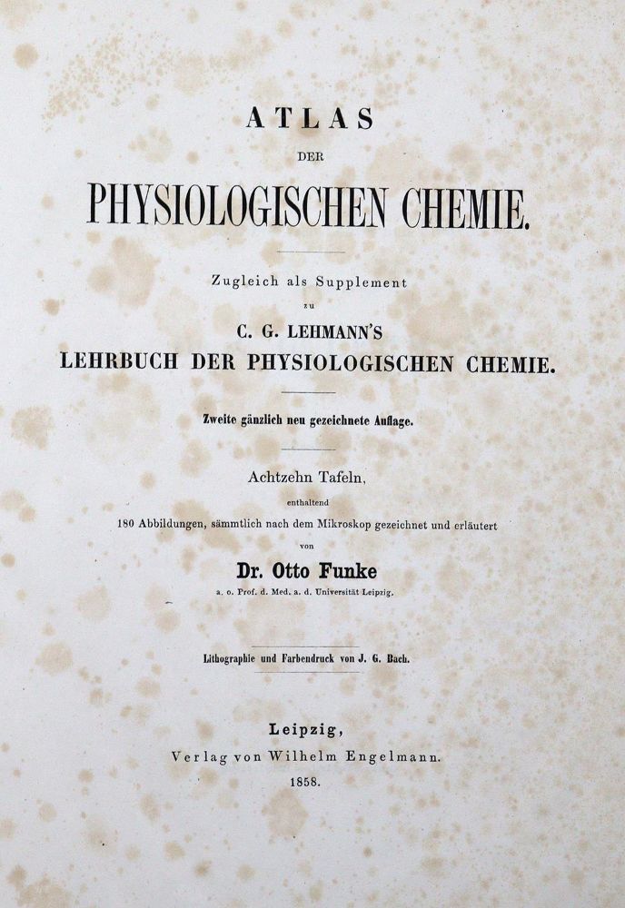 Große Abbildung Nr.2: 127-384 Raspail,F.V.: (Aus der Sammlung Professor Dr.Dr.Johannes Büttner Teil 1)